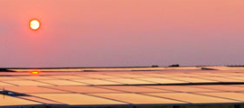 solar panels reflecting sunset