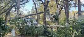 We Energies crews in Florida are helping in massive effort to restore power after Hurricane Milton